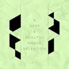 A Deep & Soulful House Selection, Vol. 5