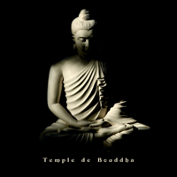 Temple de Bouddha: Sons de nature relaxants et musique de thérapie de guérison, Sommeil profond, Bien-être, Spa & massage, Écoute facile - Bouddha musique sanctuaire, Ensemble de Musique Zen Relaxante & Oasis de sommeil