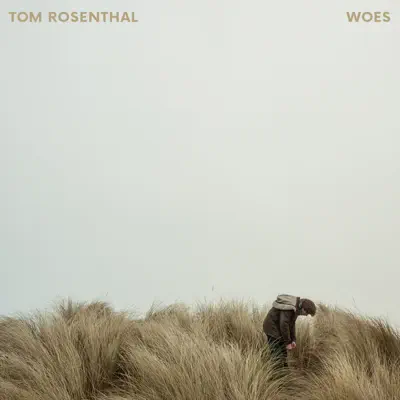 Woes - Single - Tom Rosenthal