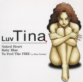 To Feel The FIRE(Luv Tina Version) artwork