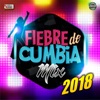 Fiebre De Cumbia Mix 2018