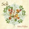 Que Seu Olhar - Soli lyrics