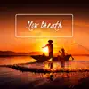 Slow Breath: 60 Soothing Music, Breathing Meditation, Relaxation, Stress Relief, Visualization album lyrics, reviews, download