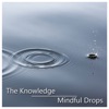 Mindful Drop