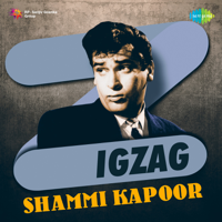 Various Artists - Zigzag Shammi Kapoor artwork