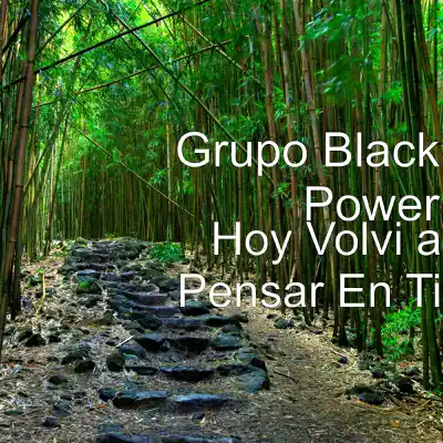 Hoy Volví a Pensar En Ti - Single - Grupo Black Power