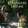 Strangers Like Me (feat. Traci Hines) - Chris Villain