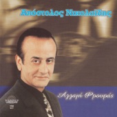 Apostolos Nikolaidis - Ta ipourgia