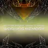 Working Memory - Single album lyrics, reviews, download