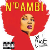 N'Dambi - The World Is a Beat