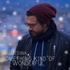 Something Kind of Wonderful - Single