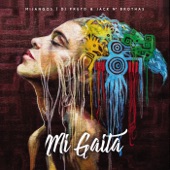 Mi Gaita (DJ Fruto & Jack N' Brothas) [Mi Jango Remix] artwork