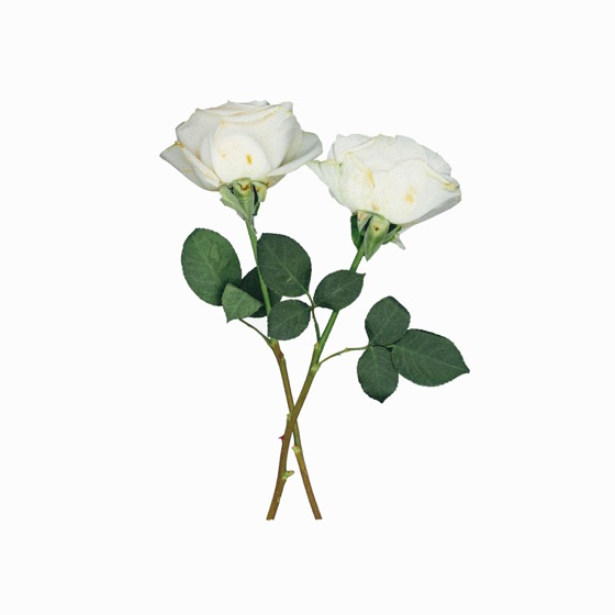 Cover artwork for Low