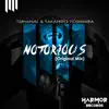 Stream & download Notorious - Single