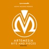 Artemesia - Bits And Pieces (Tony De Vit Mix)
