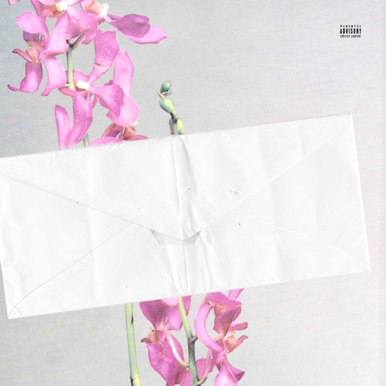 Cover artwork for Vip