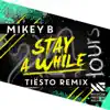 Stay a While (Tiësto Remix) - Single album lyrics, reviews, download