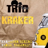 Karakter Sınırı Vardı, Yazamad - EP artwork