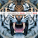 Closer to the Edge - Thirty Seconds to Mars