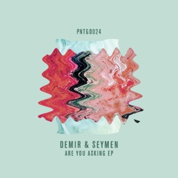 Demir & Seymen - Are You Asking