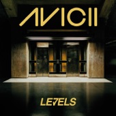 Levels (Instrumental Radio Edit) artwork