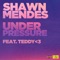 Under Pressure (feat. teddy<3) - Shawn Mendes lyrics