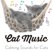 Cat Music - Calming Sounds for Cats artwork
