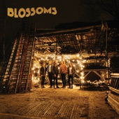 Blossoms artwork