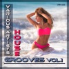 House Grooves, Vol. 1