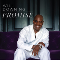 Will Downing - The Promise artwork