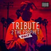 Tribute to the Prophet, Vol. 1 (by Kryptic Samples)