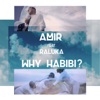 Why Habibi? (feat. Raluka) - Single