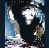 Siouxsie & The Banshees - The Killing Jar