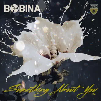 Something About You - Single by Bobina album reviews, ratings, credits