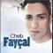 Wagfa Fel Bab - Cheb Faycal lyrics