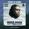 Never Again (feat. Young Buck) - Single album lyrics, reviews, download