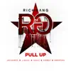 Pull Up (feat. Jacquees, JSOUL, Ralo Stylz, Derez Lenard & Birdman) - Single album lyrics, reviews, download