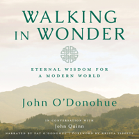 John O'Donohue & Krista Tippett - foreword - Walking in Wonder: Eternal Wisdom for a Modern World (Unabridged) artwork