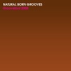Natural Born Grooves - Groovebird 2008