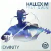 Stream & download Divinity (feat. QVLN) - Single