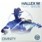 Divinity (feat. QVLN) - Hallex M lyrics