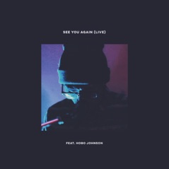 See You Again Live (feat. Hobo Johnson) [Live] - Single