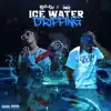 Ice Water Dripping (feat. Rich The Kid) - Single album lyrics, reviews, download