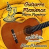 Guitarra Flamenca