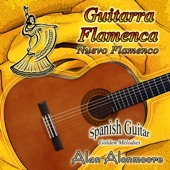 Guitarra Flamenca artwork