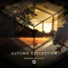 Autumn Cellection, 2018