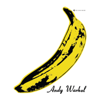 The Velvet Underground & Nico - The Velvet Underground & Nico (45th Anniversary Edition) artwork