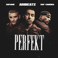 Raf Camora & AriBeatz - Perfekt (feat. Sofiane) artwork