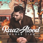 Raaz Alood artwork