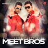 Bollywood Party With Meet Bros, 2017